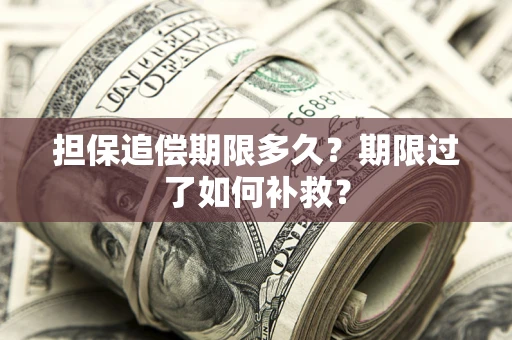 北京担保追偿期限多久？期限过了如何补救？