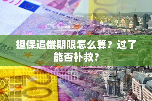 北京担保追偿期限怎么算？过了能否补救？
